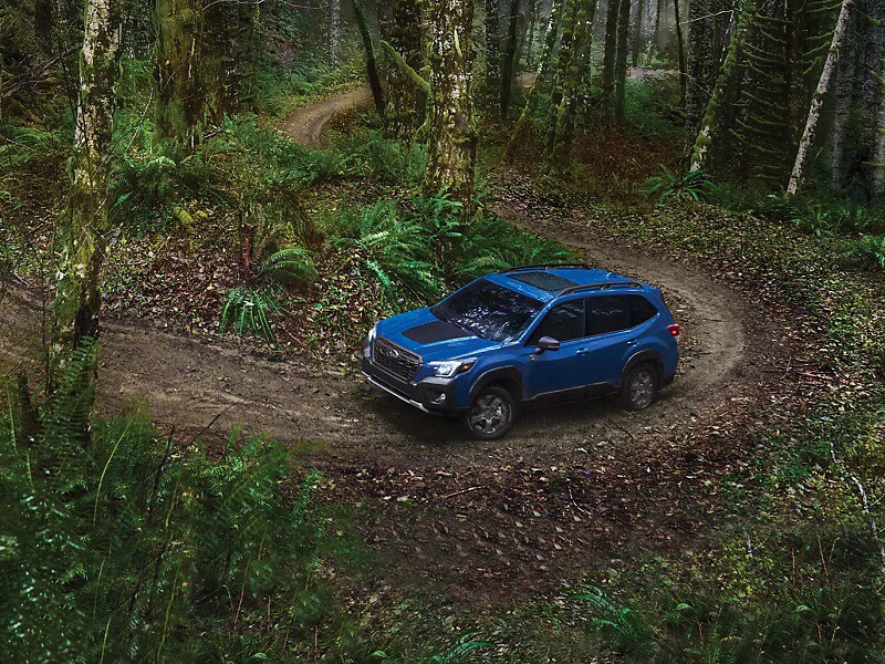 Subaru Dealer near Saint Clairsville OH