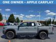 2025 Nissan Frontier PRO-4X Truck Crew Cab