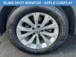 2019 Volkswagen Tiguan 2.0T S 4MOTION SUV