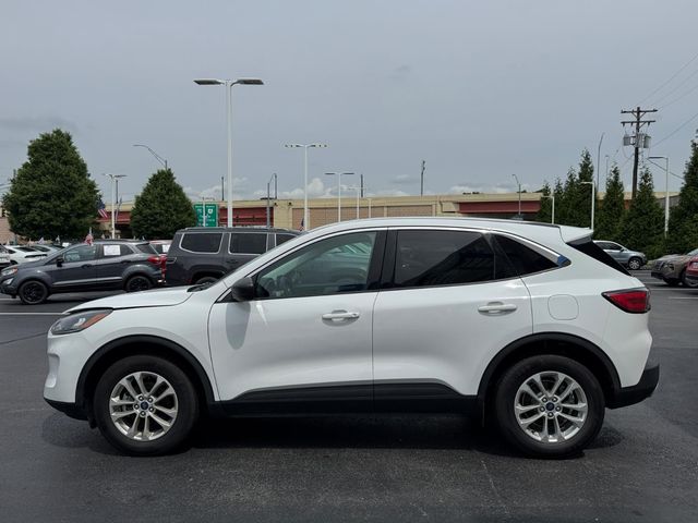 2022 Ford Escape SE - Photo 8