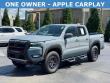 2025 Nissan Frontier PRO-4X Truck Crew Cab