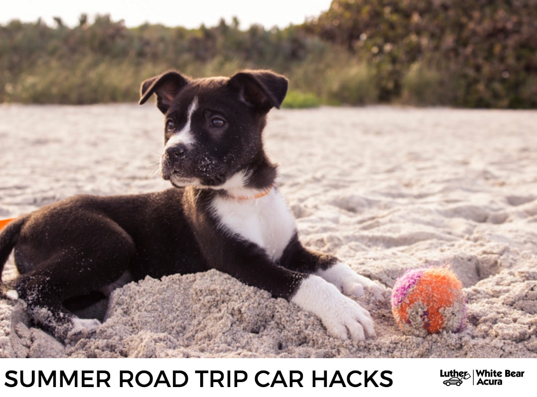 Summer Road Trip Car Hacks from the team at White Bear Acura dealership - 2017 RDX for sale in St. Paul MN .png