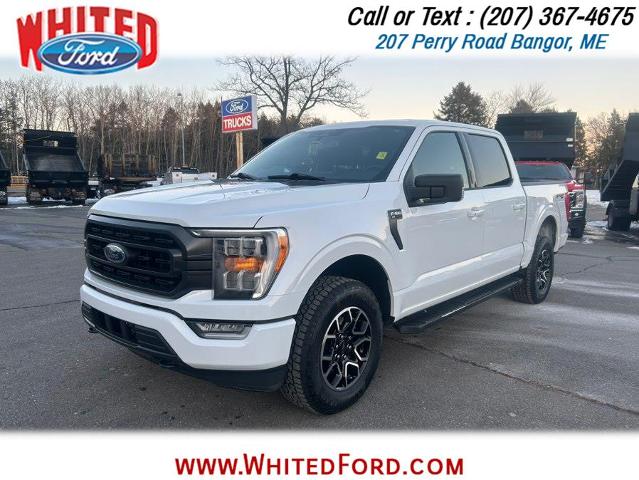 2023 Ford F-150 XLT's photo