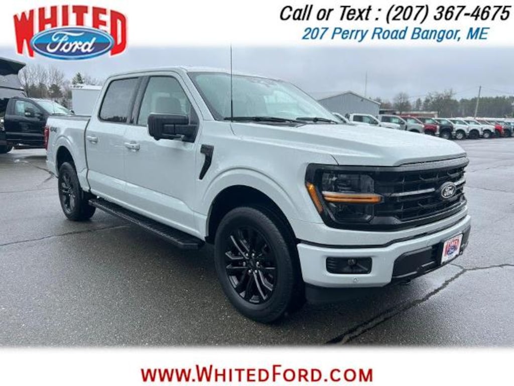 Used 2024 Ford F-150 XLT Crew Cab Pickup