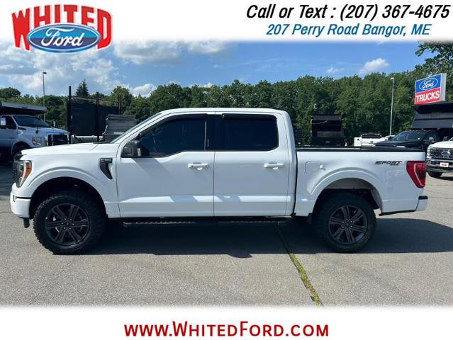 Used 2023 Ford F-150 XLT with VIN 1FTFW1E52PFC89814 for sale in Bangor, ME