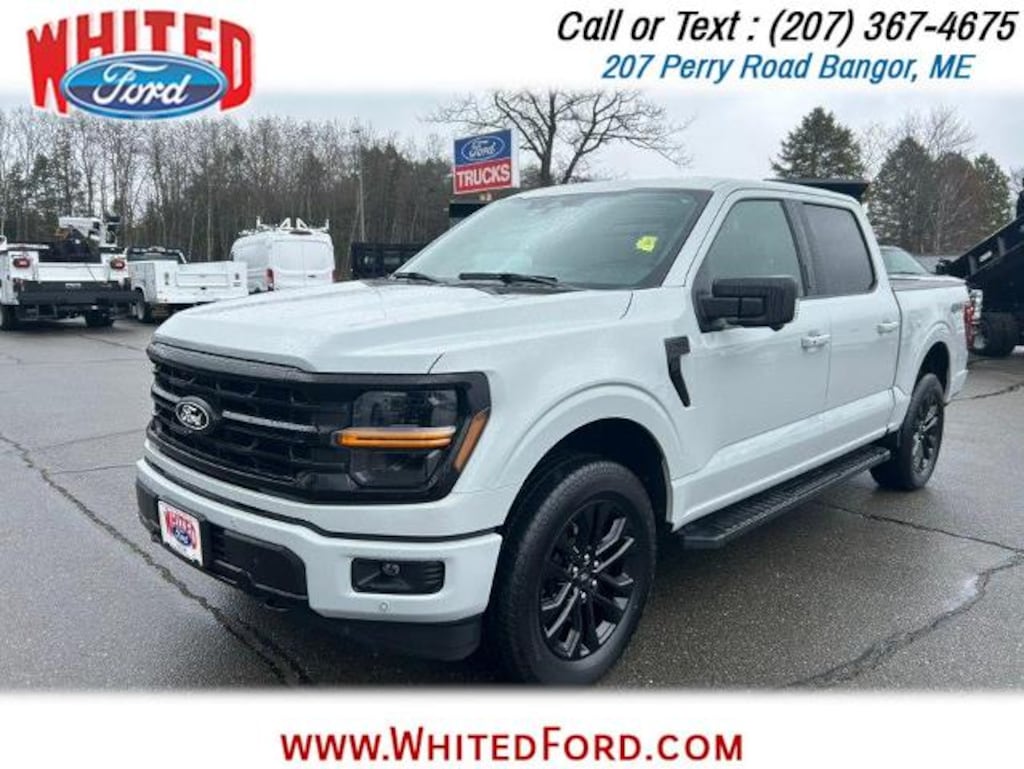 Used 2024 Ford F-150 XLT Crew Cab Pickup