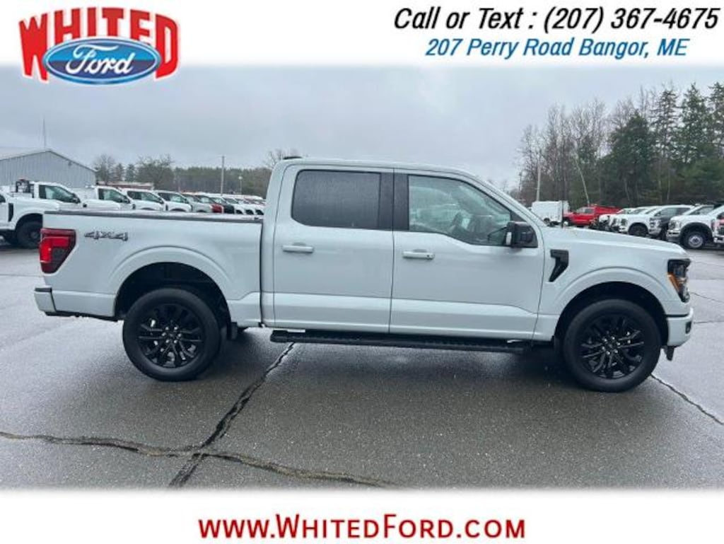 Used 2024 Ford F-150 XLT Crew Cab Pickup