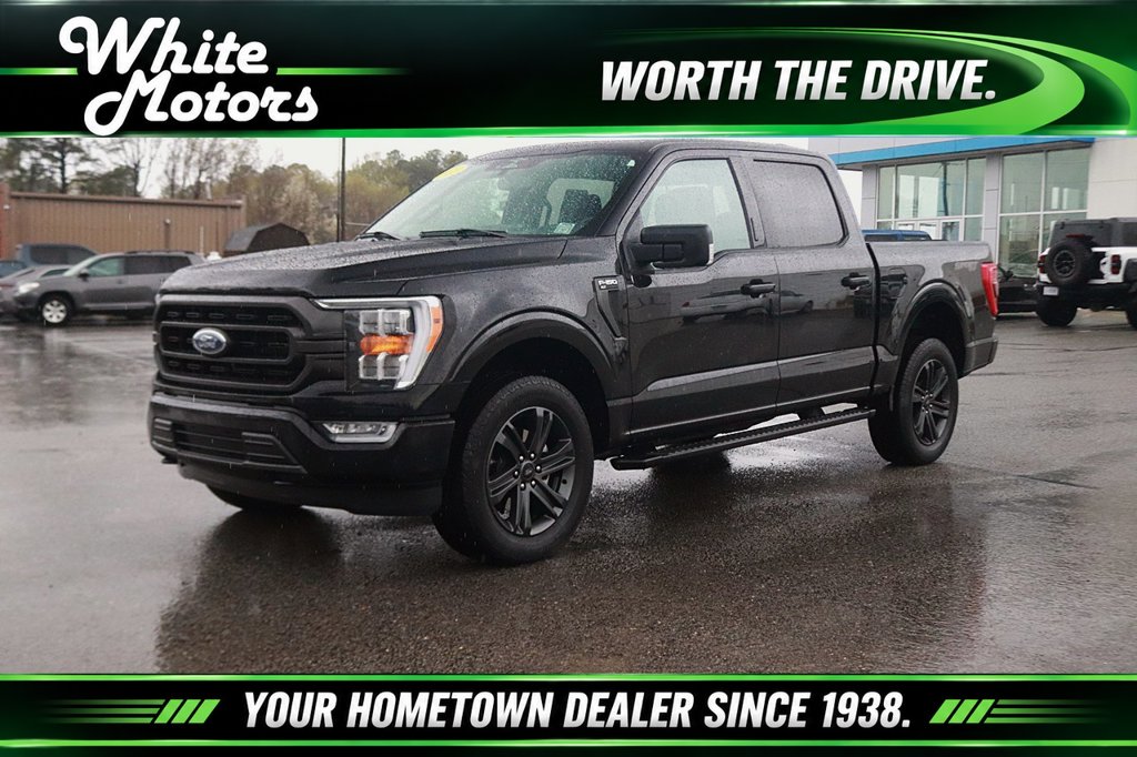  Ford F-150