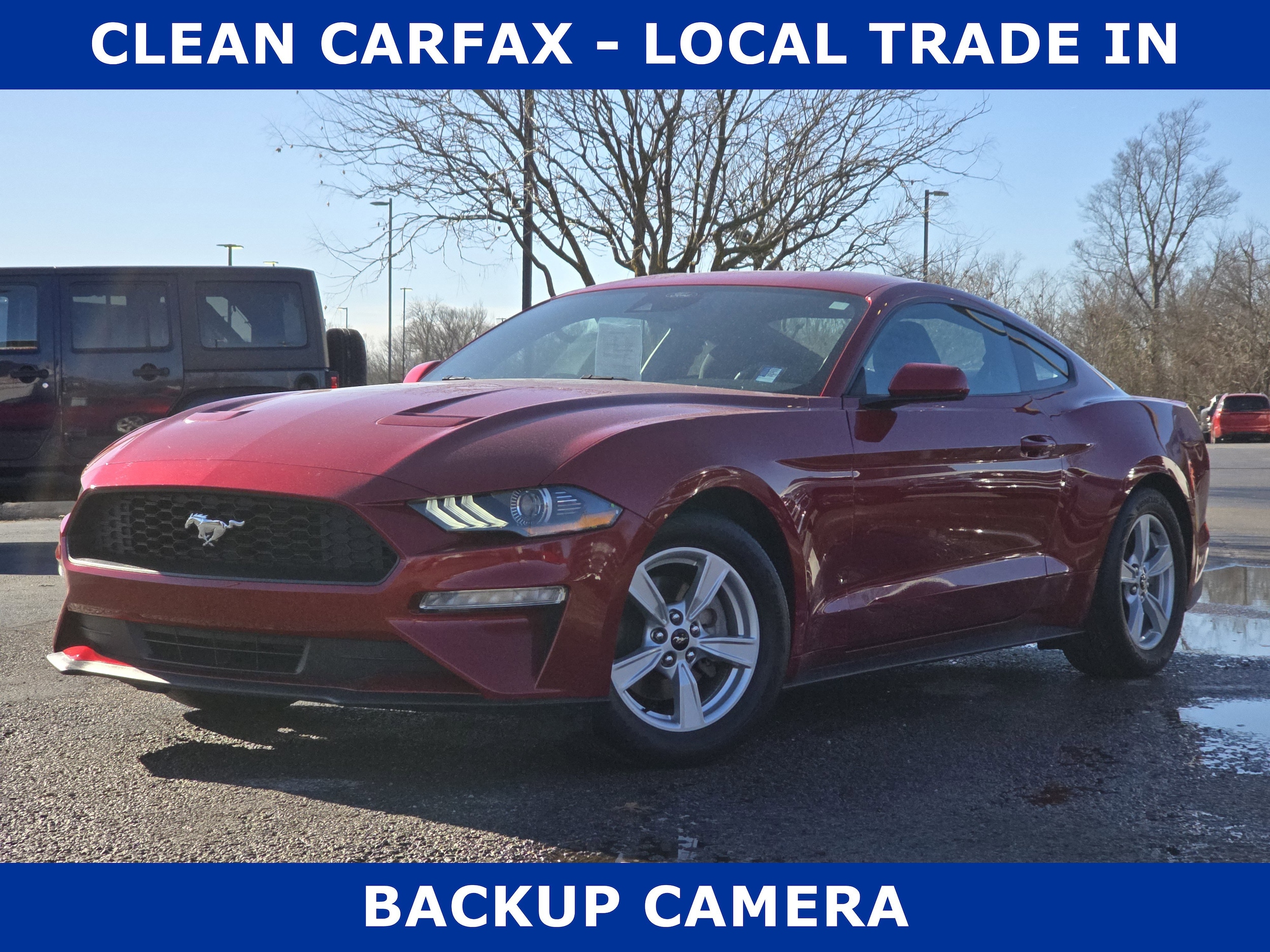 2021 Ford Mustang EcoBoost's photo