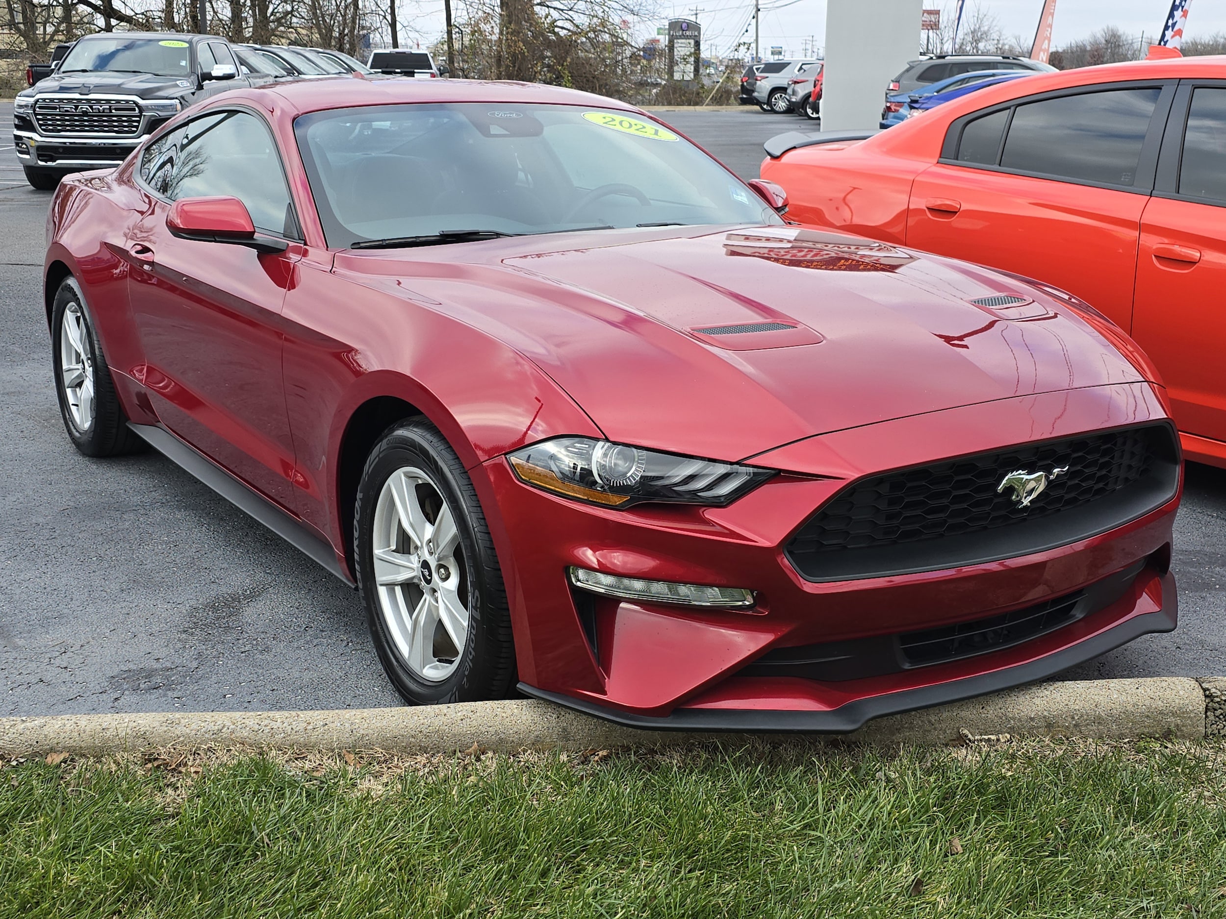 2021 Ford Mustang EcoBoost's photo