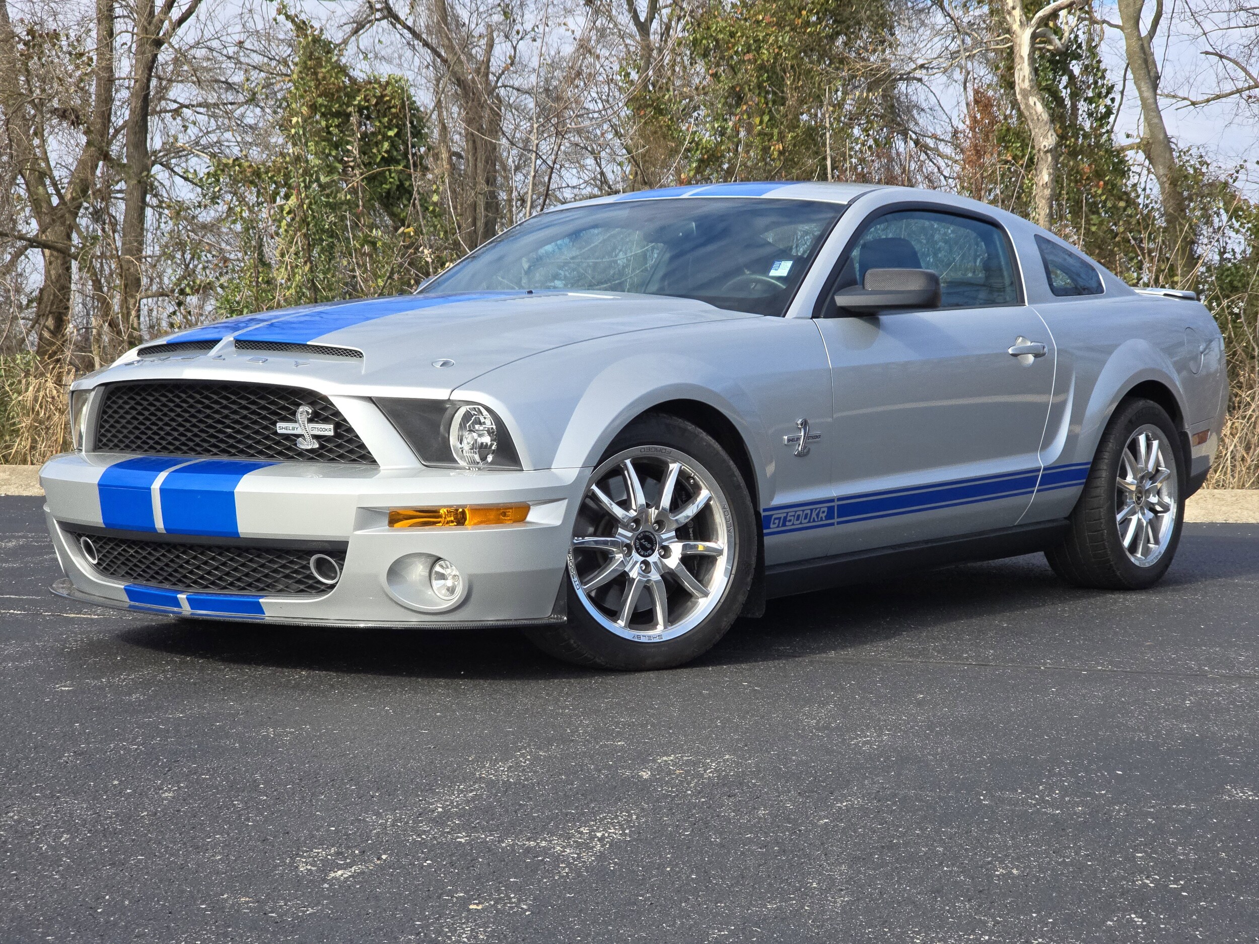 2009 Ford Mustang Shelby GT500 photo 2