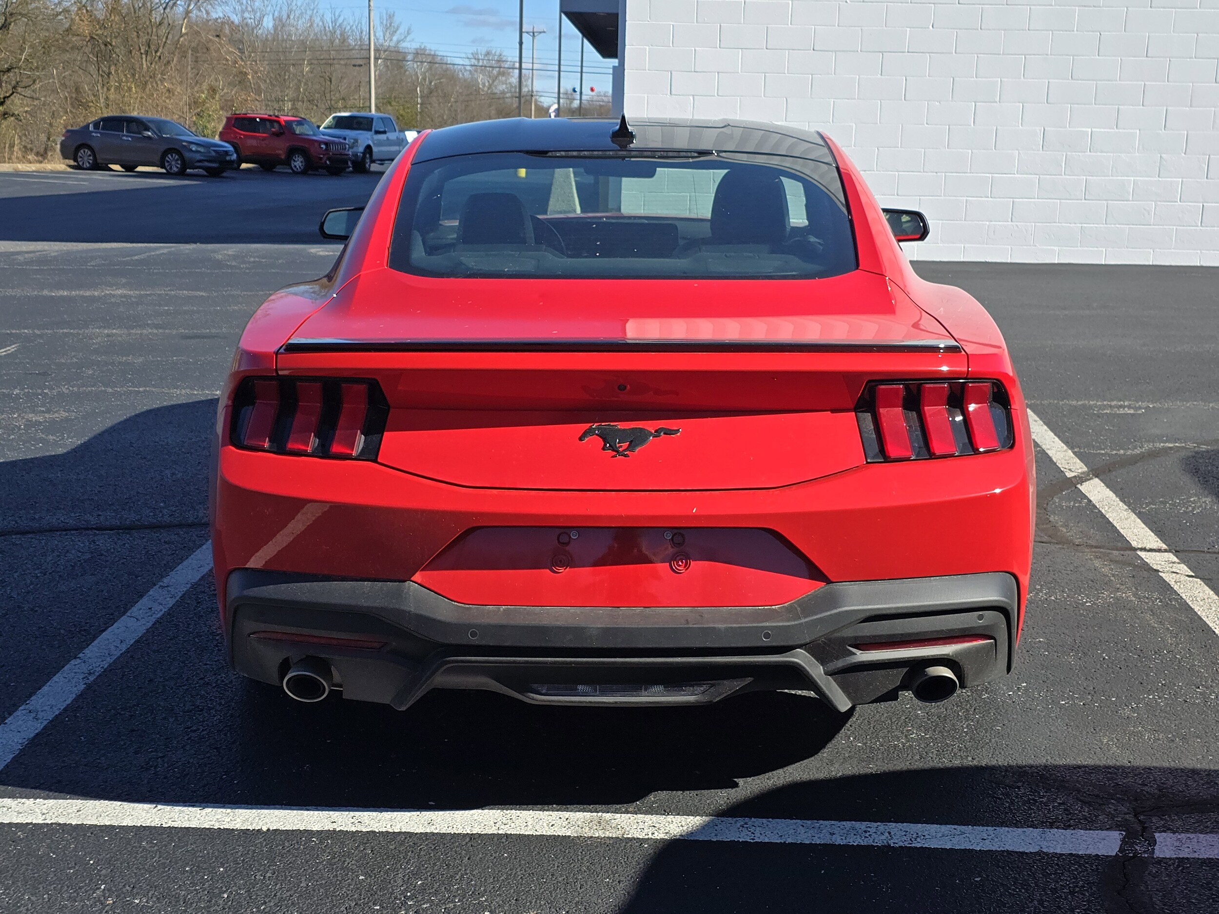 2025 Ford Mustang EcoBoost Premium photo 4