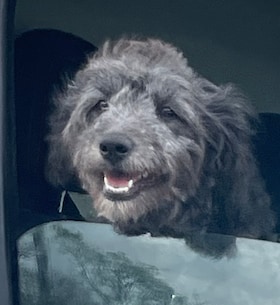 Staff member Lucy from ID_e6f4fd