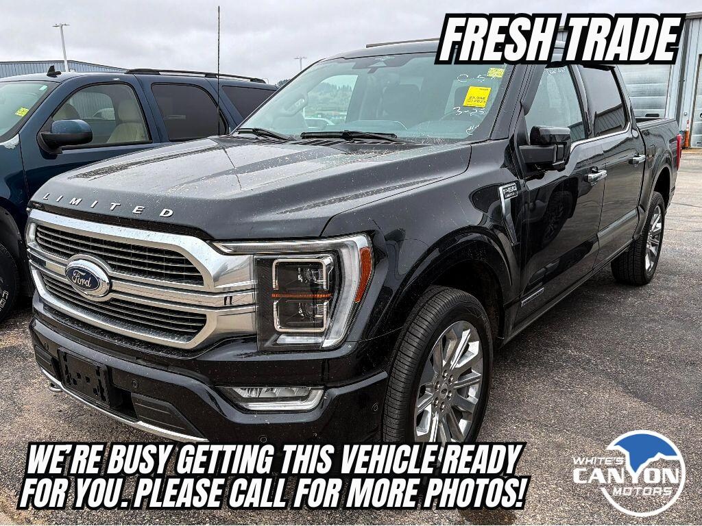 Used 2023 Ford F-150 Limited Crew Cab