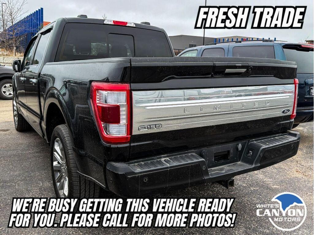 Used 2023 Ford F-150 Limited Crew Cab