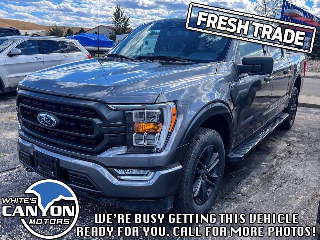 2023 Ford F-150 XLT photo 3