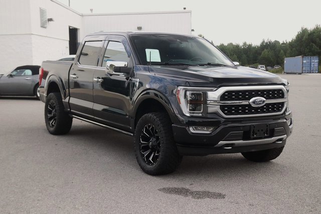 2021 Ford F-150 Platinum photo 3