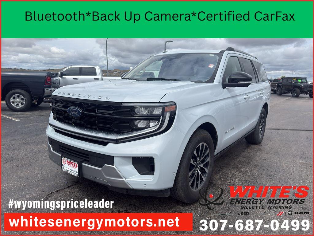 2025 Ford Expedition Platinum 4x4's photo