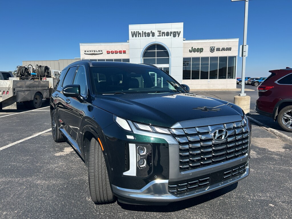 2024 Hyundai Palisade Calligraphy photo 2