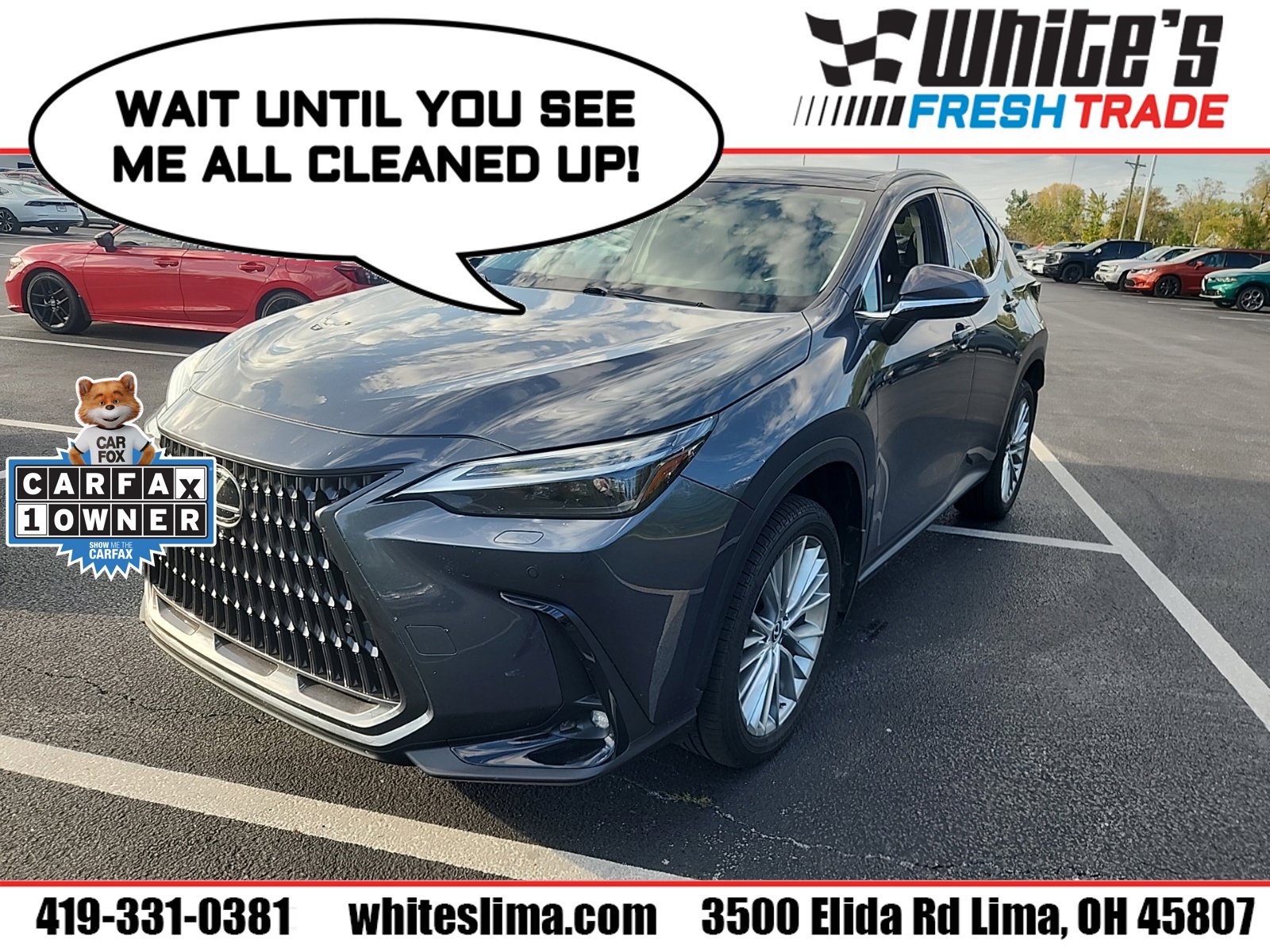 2024 Lexus NX