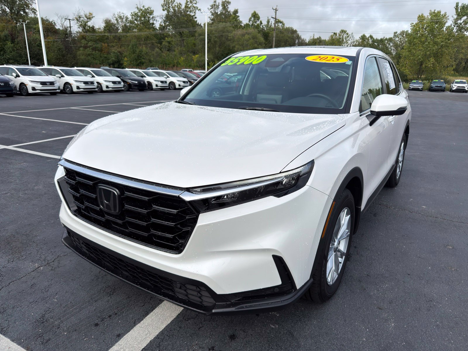 Used 2025 Honda CR-V EX-L SUV