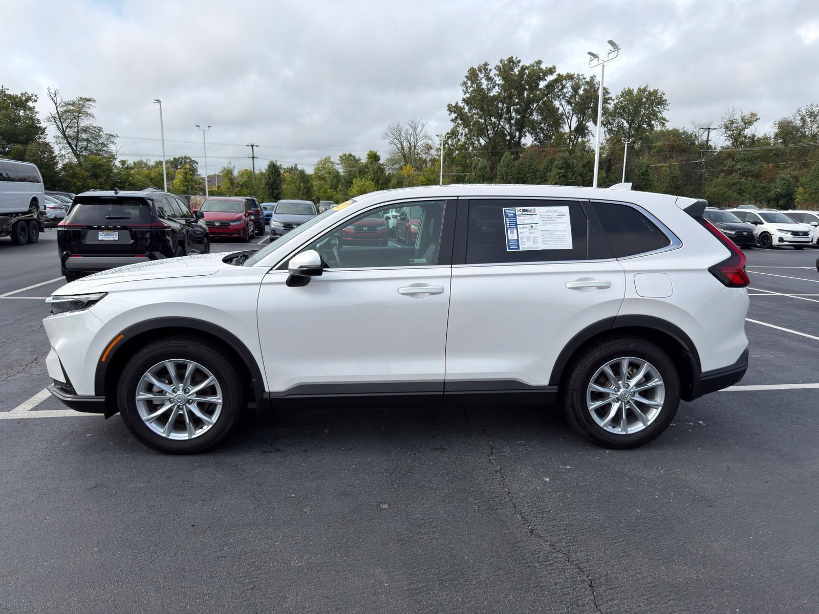 Used 2025 Honda CR-V EX-L SUV