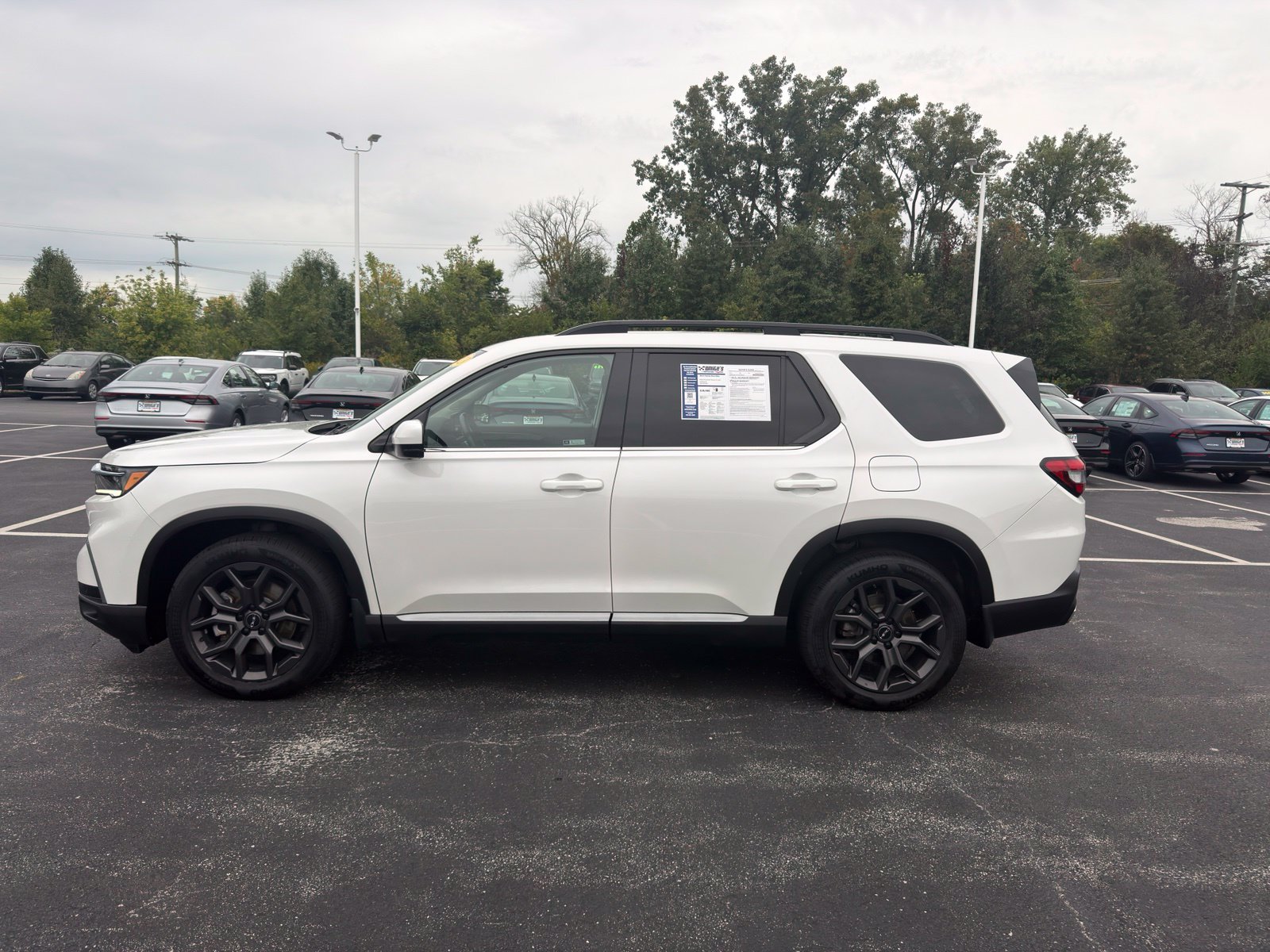 Used 2023 Honda Pilot Elite SUV