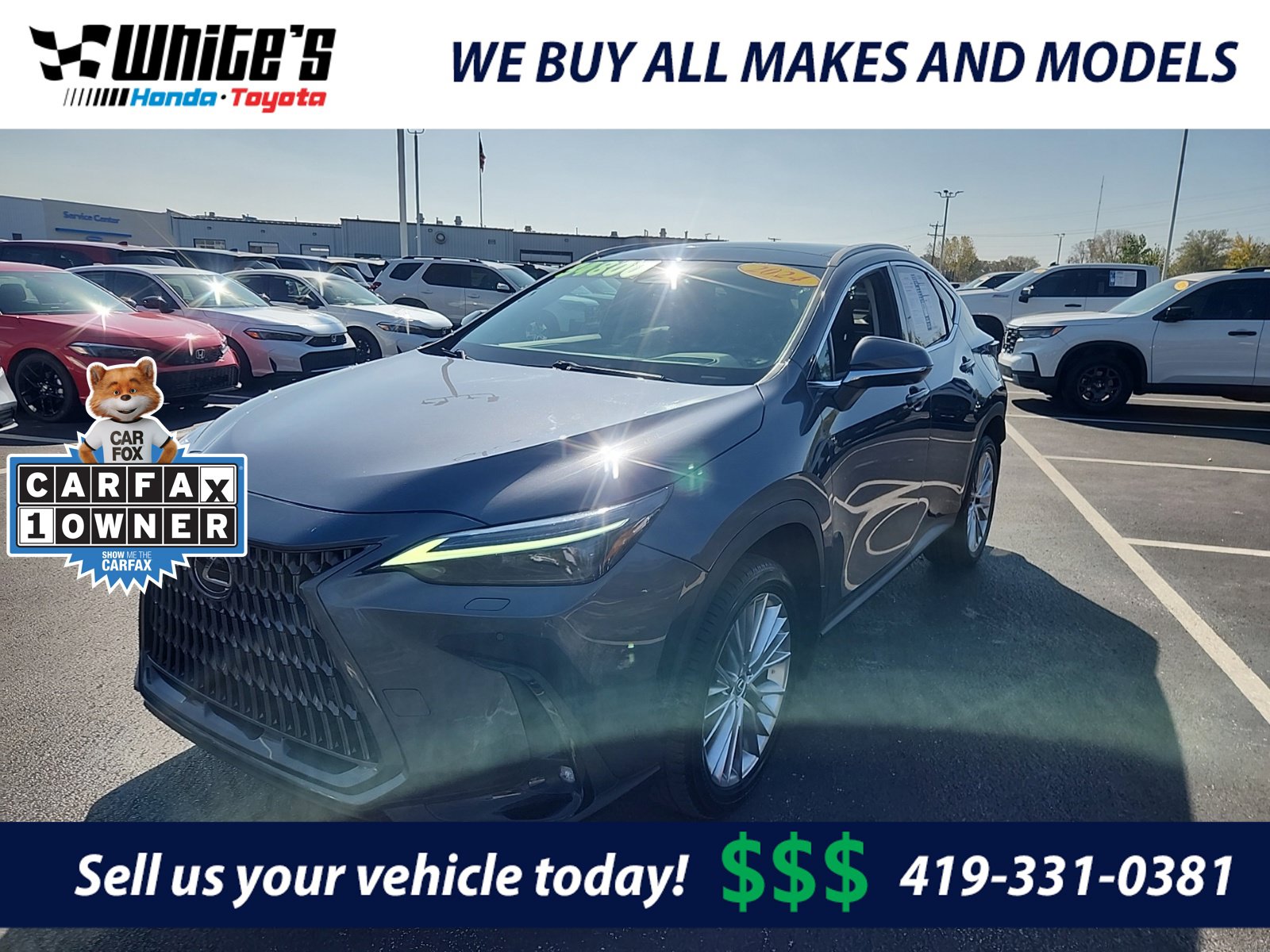 2024 Lexus NX