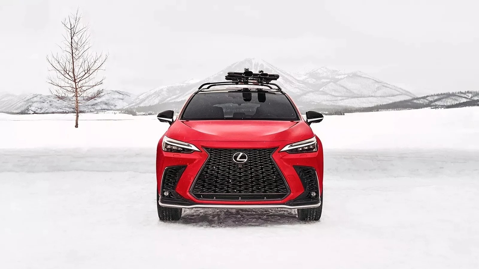 2026%20Lexus%20NX%20350%20vs%202026%20Acura%20RDX%20in%20Toledo%2C%20OH.jpg