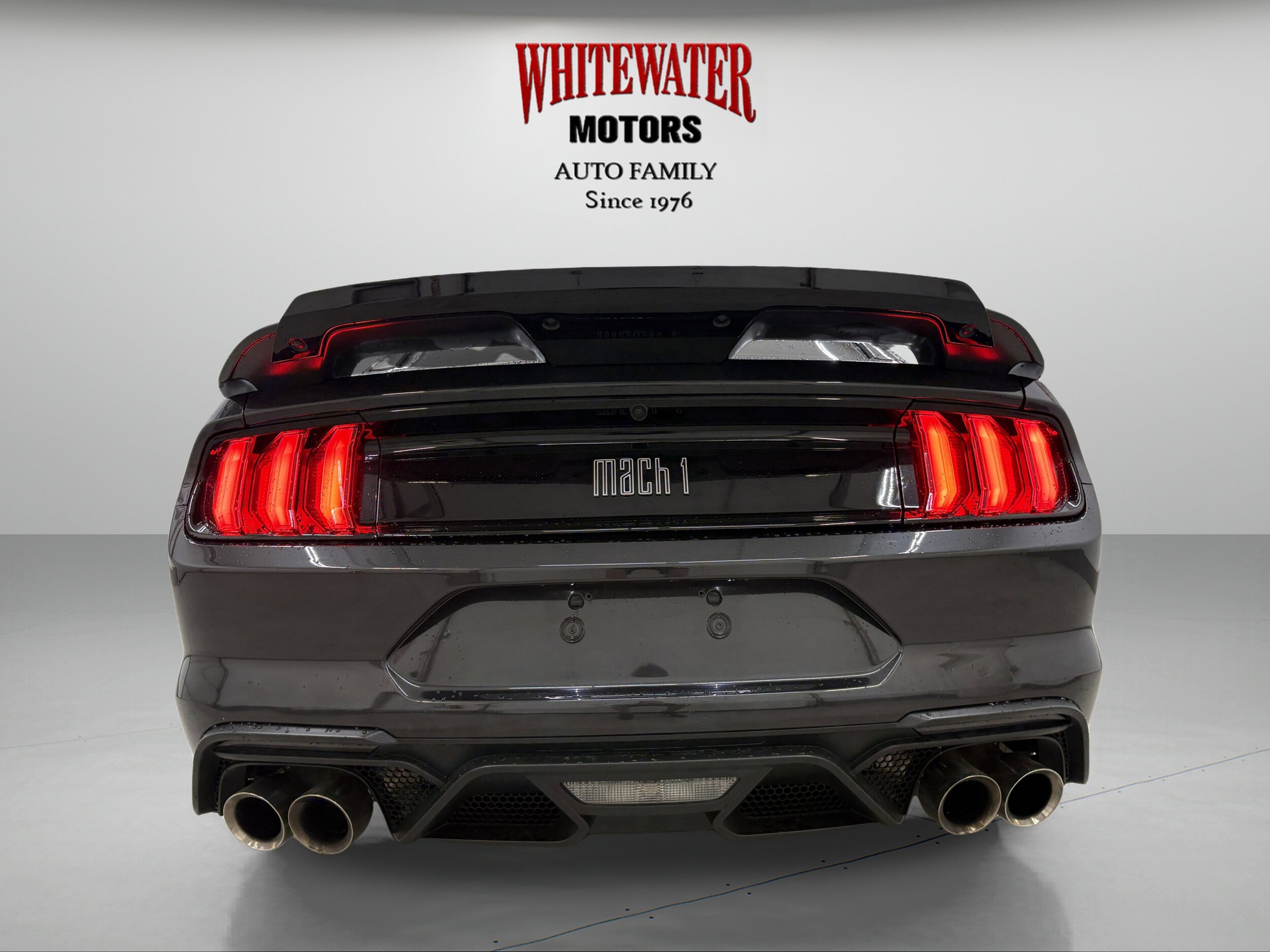 2022 Ford Mustang Mach 1 photo 3