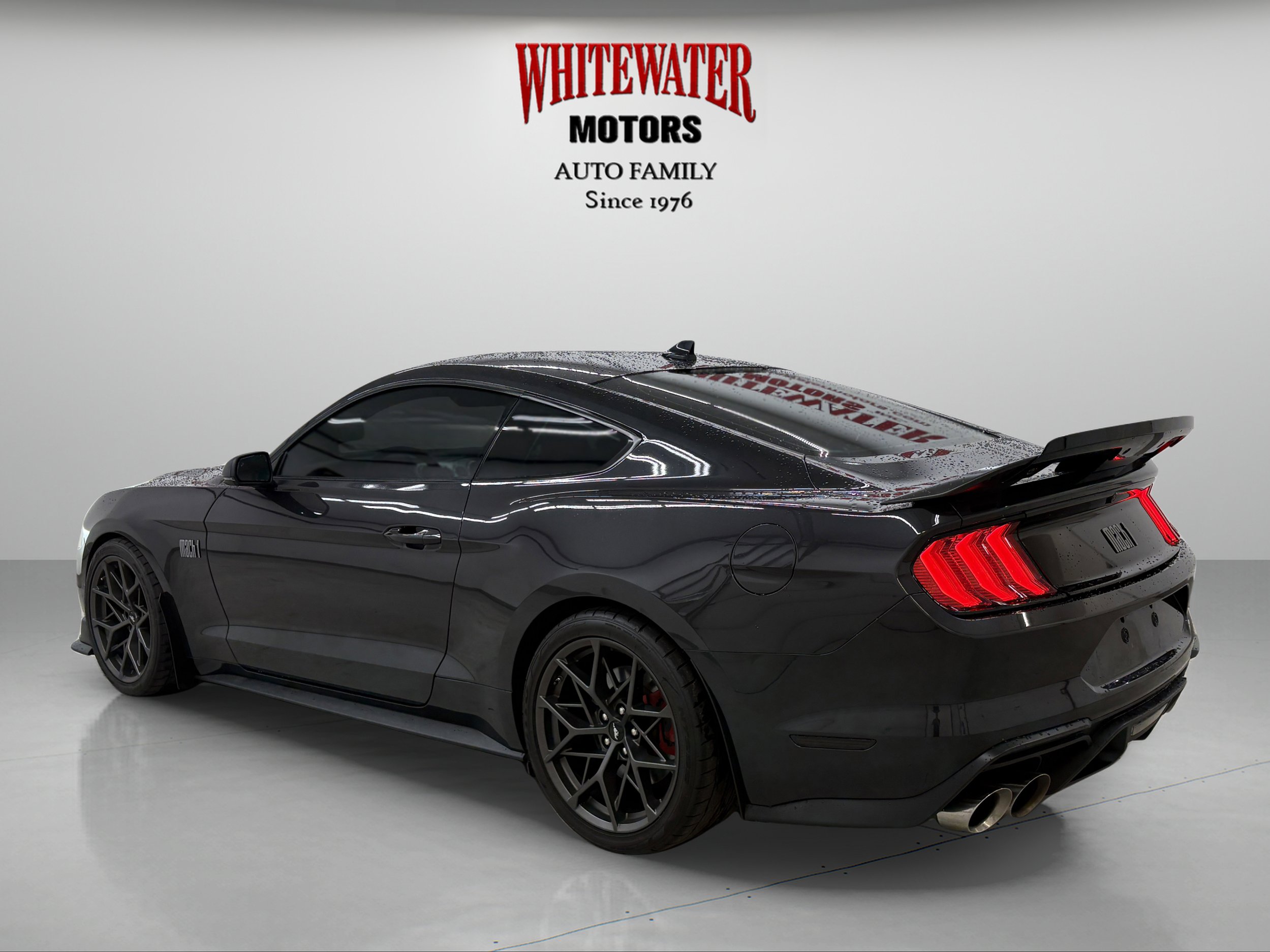 2022 Ford Mustang Mach 1 photo 2