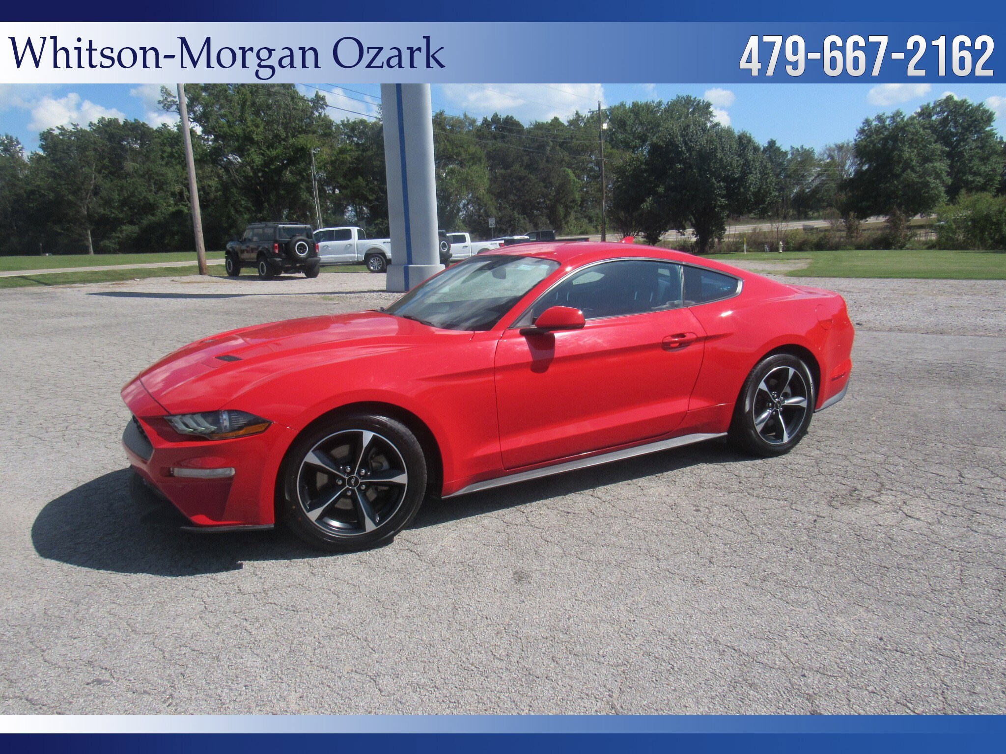 2020 Ford Mustang EcoBoost photo 4