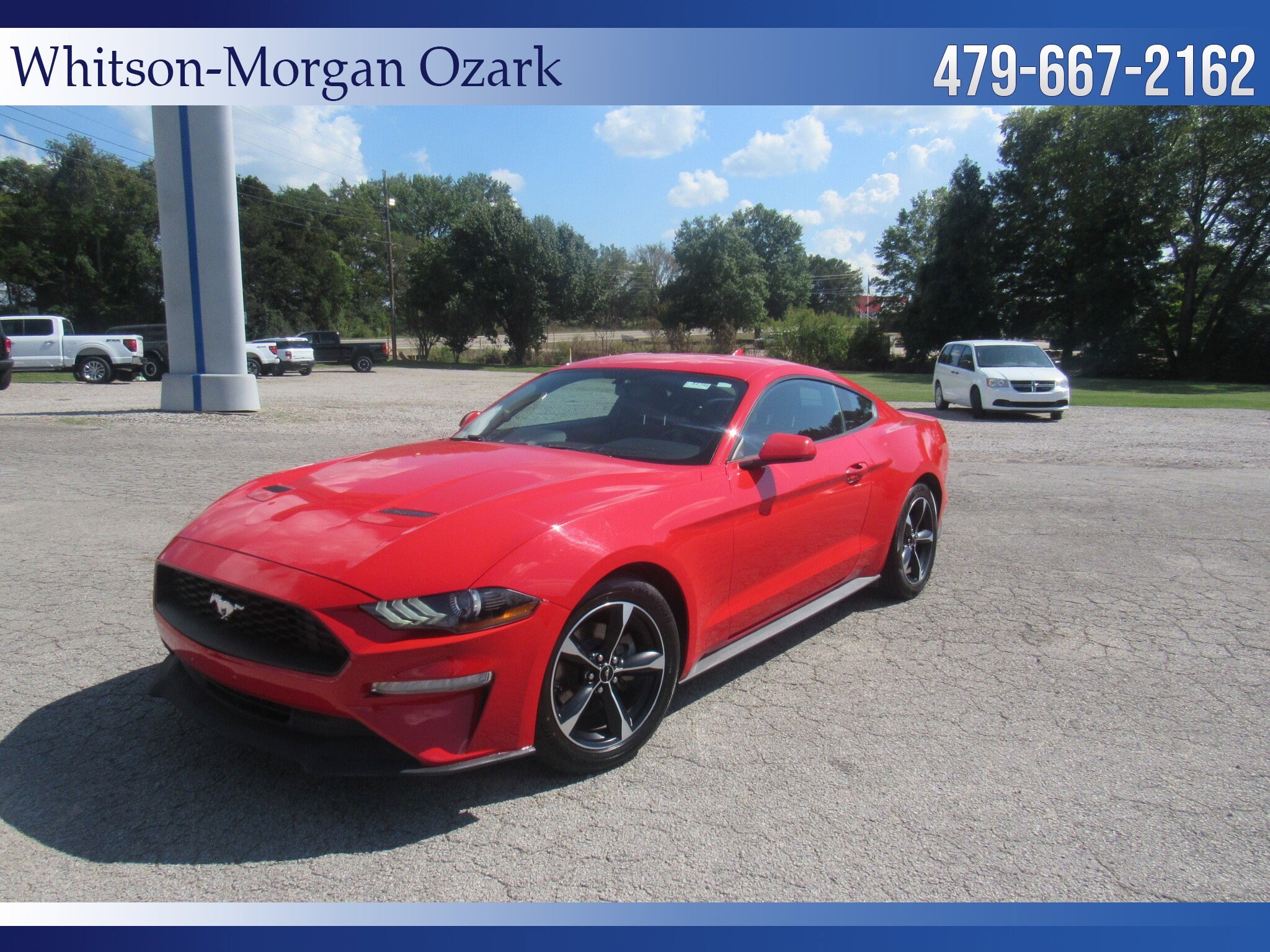 2020 Ford Mustang EcoBoost photo 3