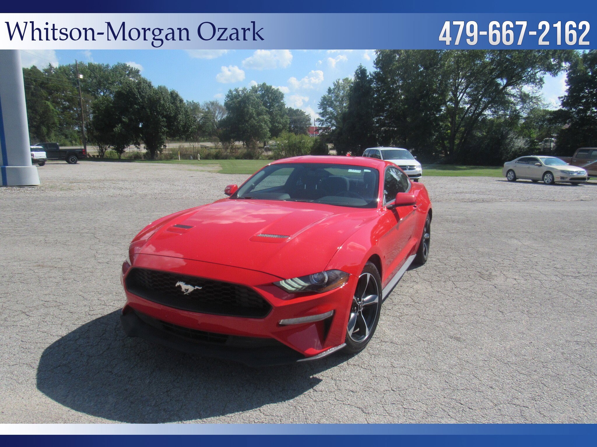 2020 Ford Mustang EcoBoost photo 2