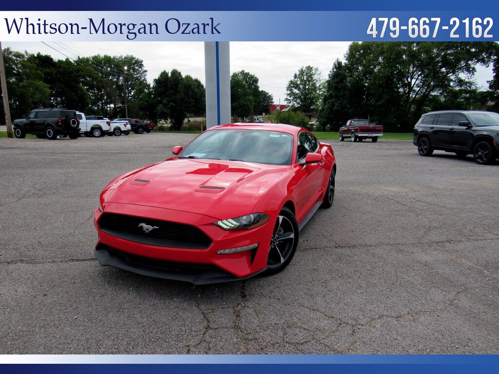 Used 2020 Ford Mustang EcoBoost EcoBoost Fastback