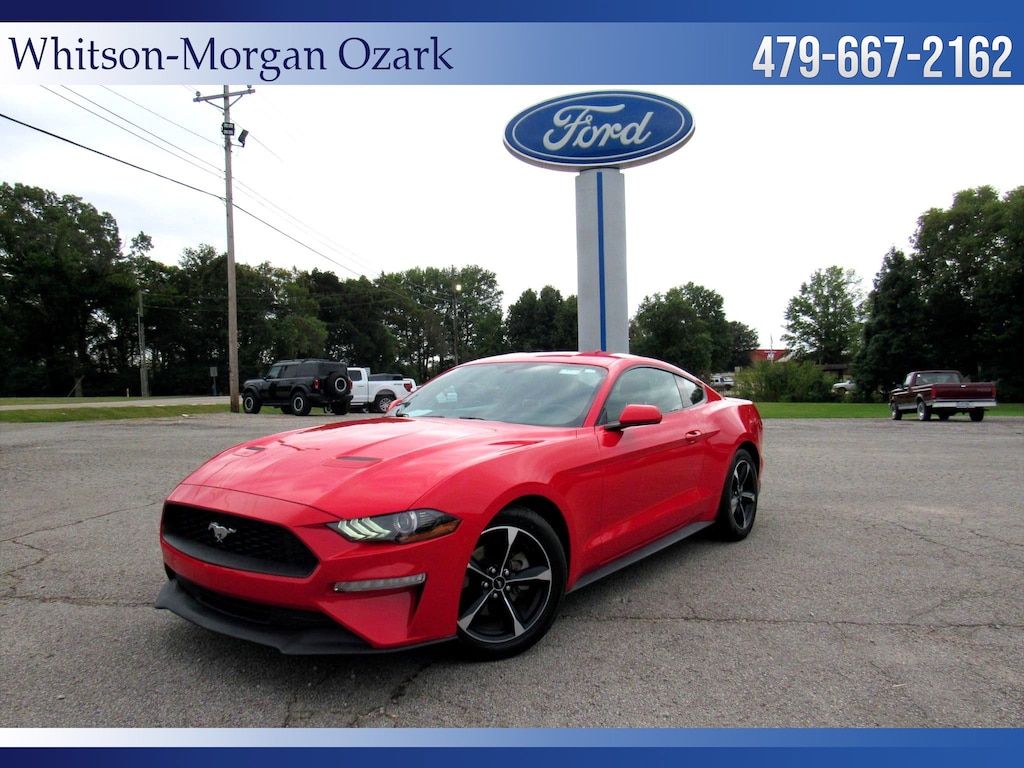 Used 2020 Ford Mustang EcoBoost EcoBoost Fastback