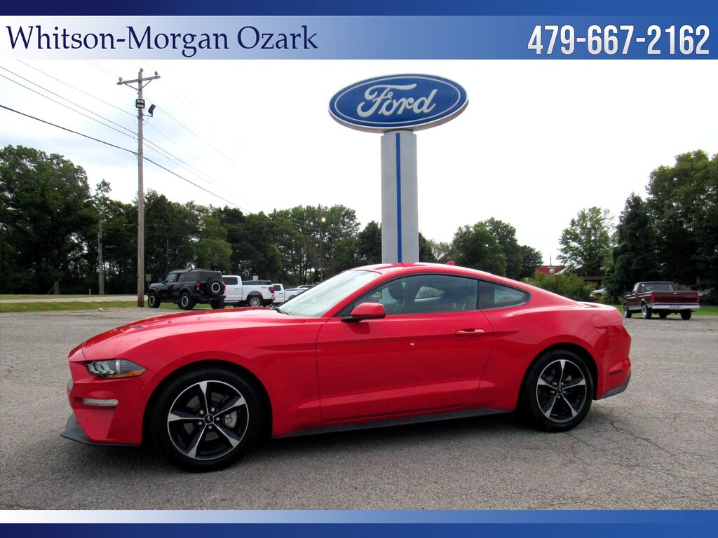 Used 2020 Ford Mustang EcoBoost EcoBoost Fastback