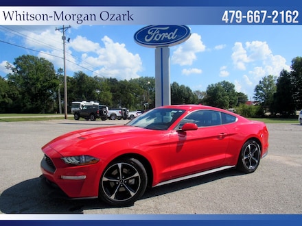 2020 Ford Mustang EcoBoost EcoBoost Fastback
