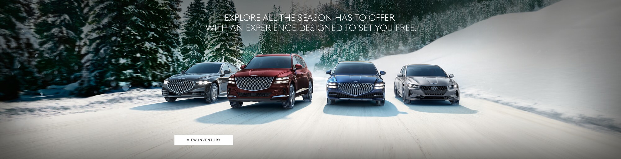 Wiesner Auto Group New Buick, Genesis, GMC, Hyundai Dealership in