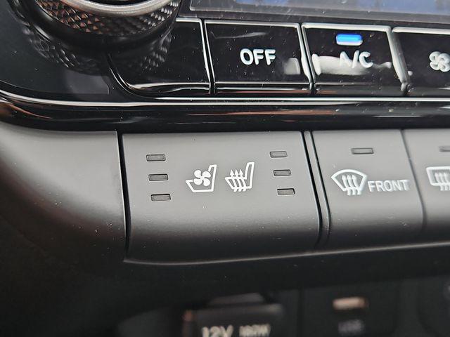 2025 Hyundai Elantra Limited - Photo 18