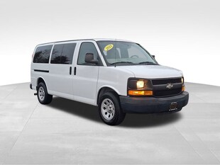 2013 Chevrolet Express Passenger 1500 LS Van