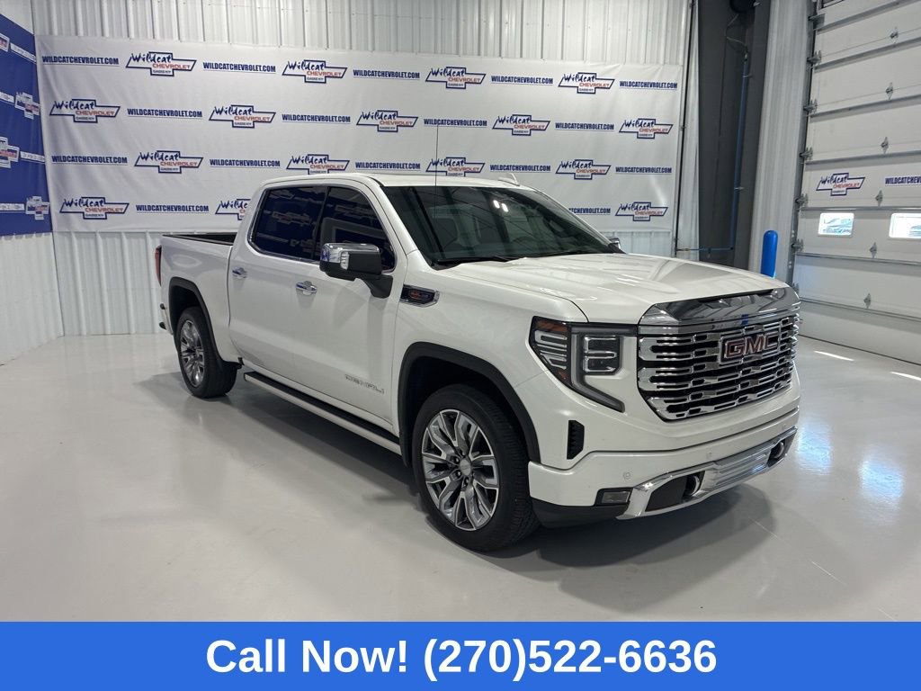 2025 GMC Sierra 1500 Denali - Photo 10
