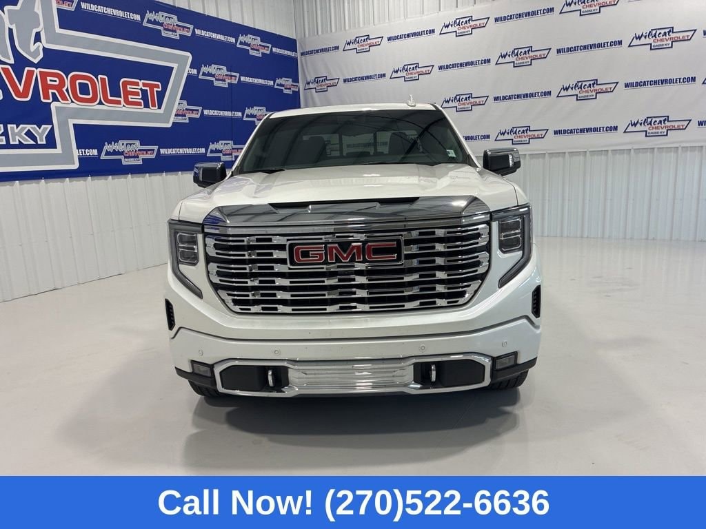 2025 GMC Sierra 1500 Denali - Photo 11