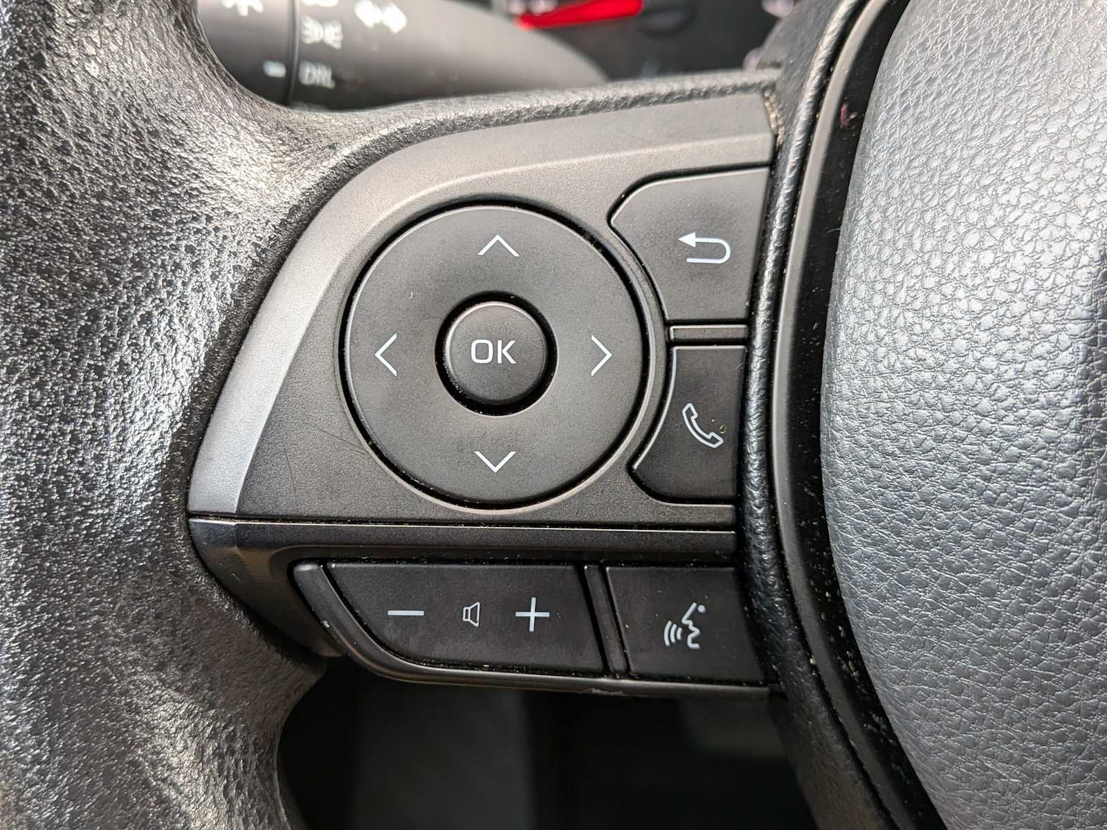 Thumbnail: 2019 Toyota RAV4 - 22