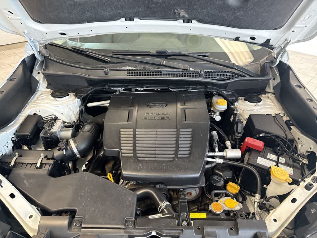 Thumbnail: 2019 Subaru Forester - 14