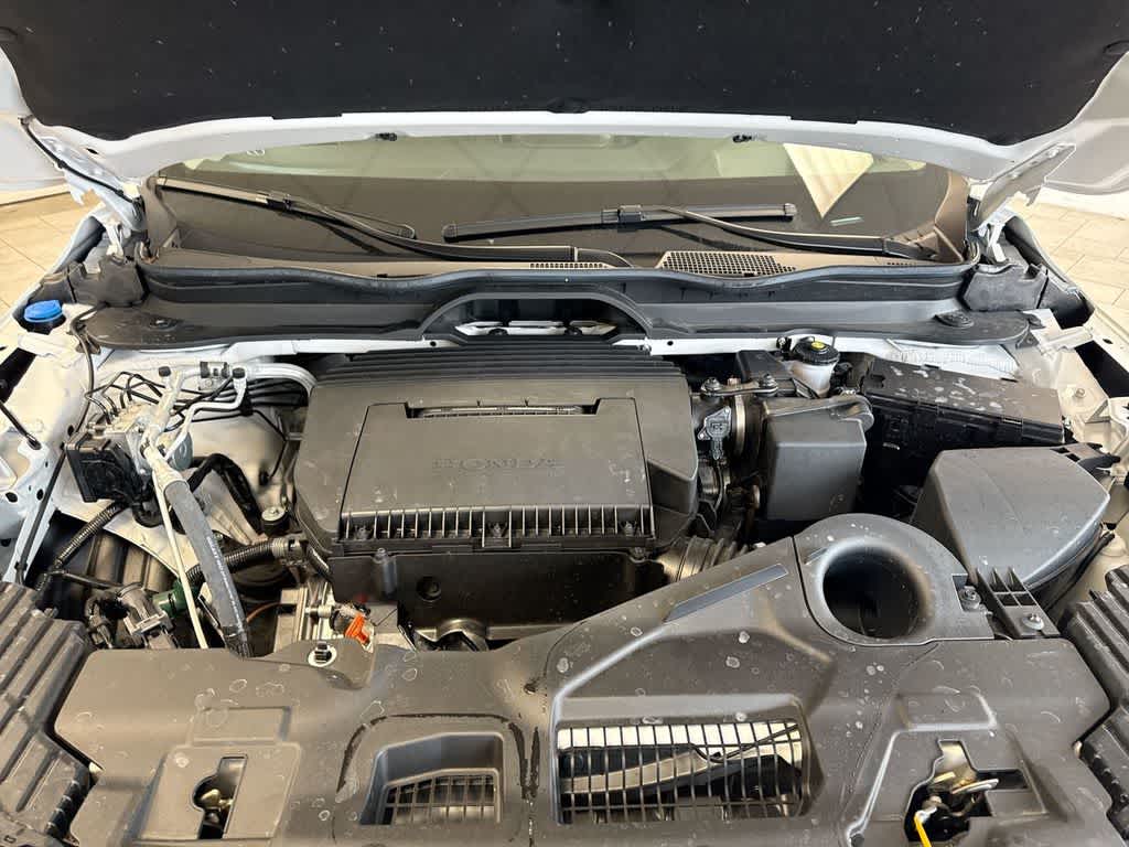 Thumbnail: 2024 Honda Pilot - 19