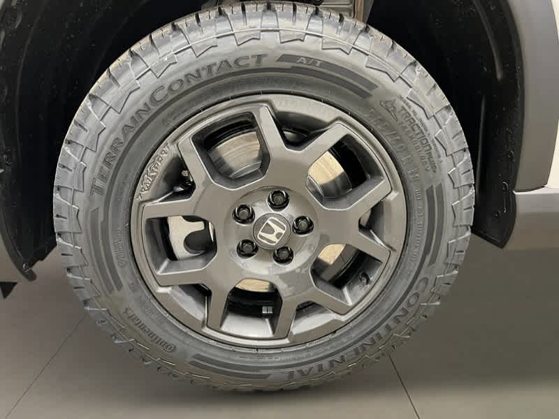 Thumbnail: 2025 Honda Pilot - 13