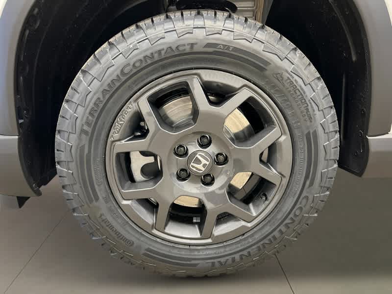 2025 Honda Pilot TrailSport 12