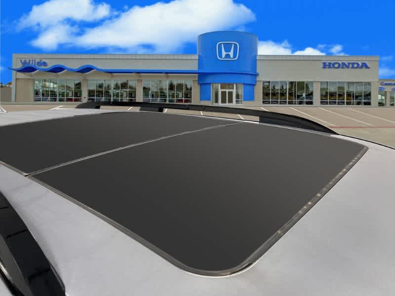 2025 Honda Pilot Elite 14