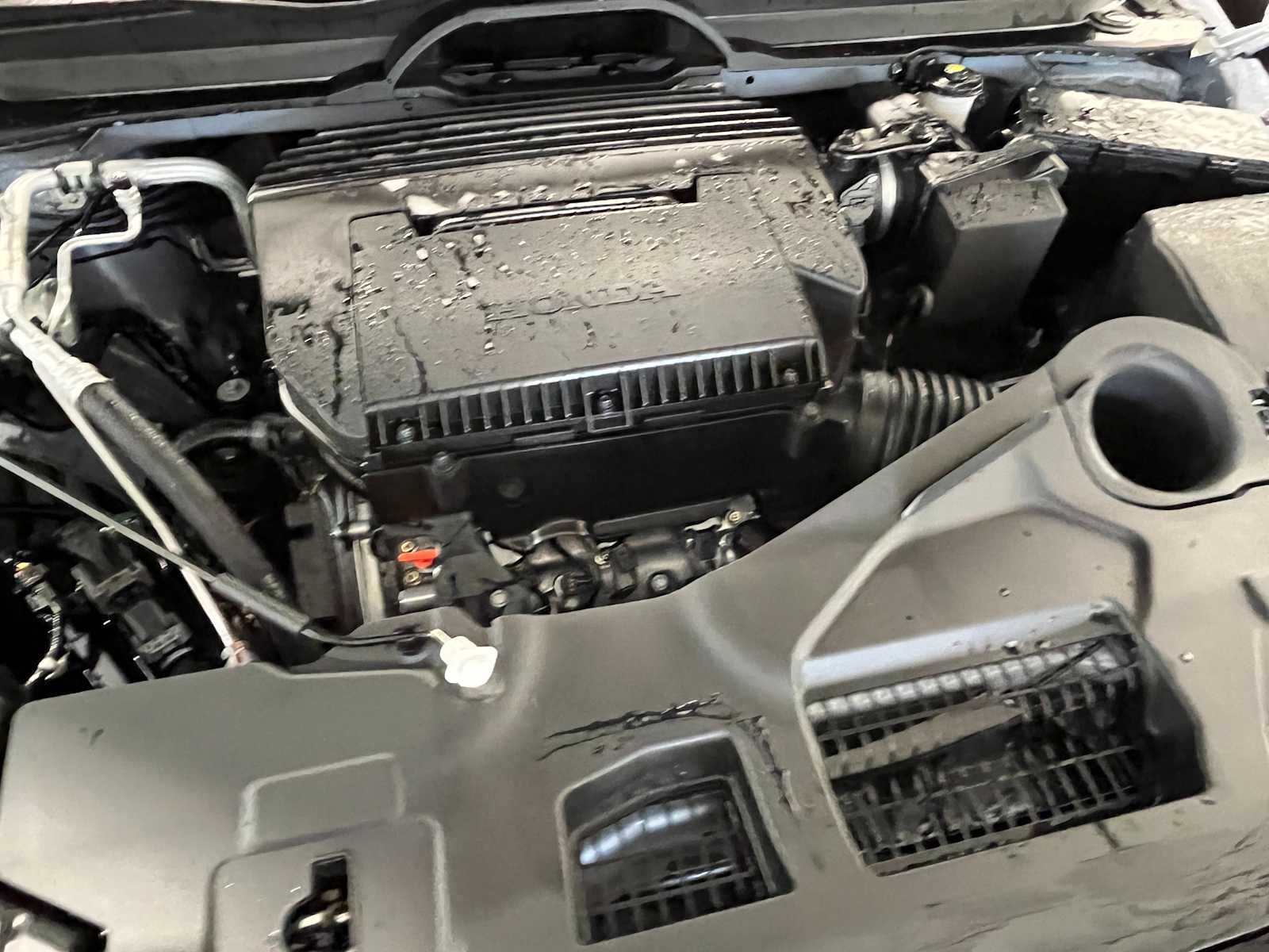 2025 Honda Pilot TrailSport 12